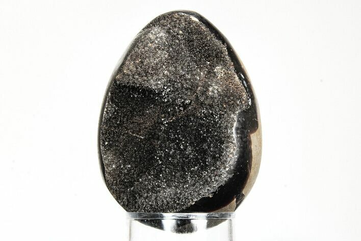 Septarian Dragon Egg Geode - Black Crystals #196282